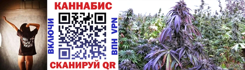 Как найти наркотики Венёв Амфетамин Галлюциногенные грибы ГАШ Конопля СК Cocaine