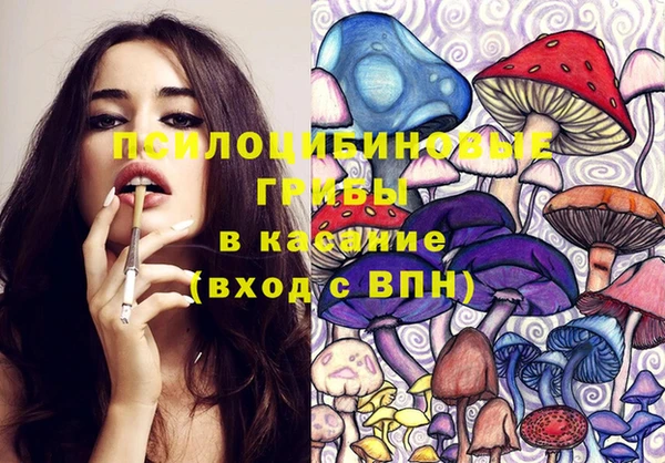 spice Бородино