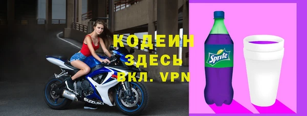 spice Бородино