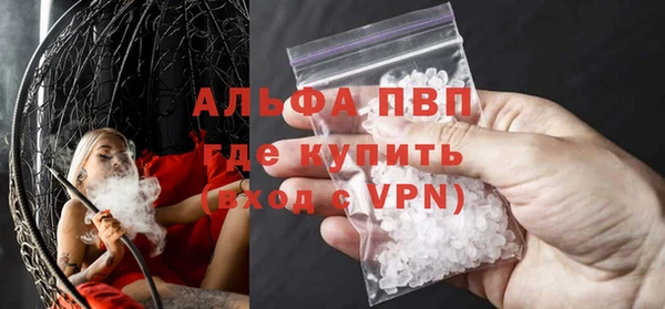 spice Бородино